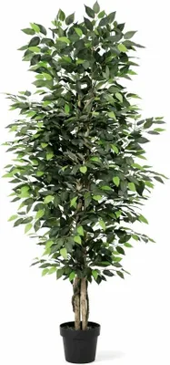 Immagine prodotto di Ficus Benjamina - Pianta artificiale da 180 cm - Grande ficus benjamina - Pianta decorativa che non richiede cure