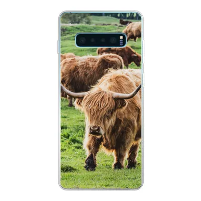 Produktbild von MuchoWow® Handyhülle Schutzhülle Hülle für Samsung Galaxy S10 Lite Schottische Highlander - Tiere - Gras Silikon Softcase Handy Hülle - Schutz