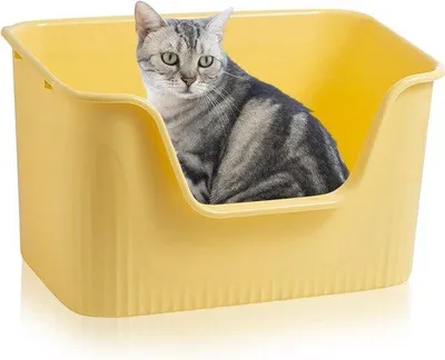 Produktbild von Famanu Katzenklo mit hohen Rändern - 64×45×33 cm, ohne Deckel