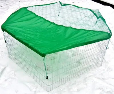 Image de Enclos pour rongeurs Enclos avec filet de protection