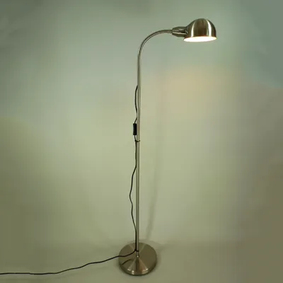 A silver floor lamp with a flexible neck and a dome-shaped head is shown against a light gray and white background.