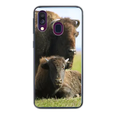 Produktbild von MuchoWow® Handyhülle Schutzhülle Hülle für Samsung Galaxy A40 Büffel - Gras - Kalb Silikon Softcase Handy Hülle - Handy-Tasche