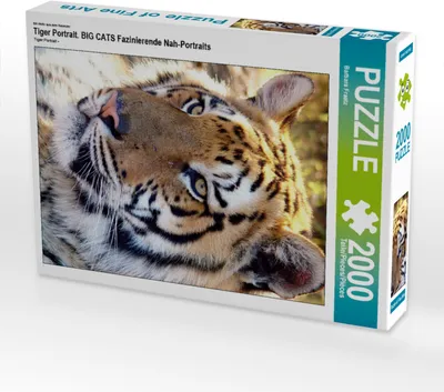 Produktbild von CALVENDO Puzzle Tiger Portrait. Ein Motiv aus dem Kalender BIG CATS Fazinierende Nah-Portraits 2000 Teile Puzzle hoch | 2000 Teile Lege-Größe 90x67cm Foto-Puzzle für glückliche Stunden