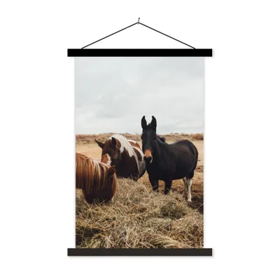 Produktbild von MuchoWow® Textilposter Tiere - Pferd 120x180 cm mit schwarzem Rahmen - Fotos
