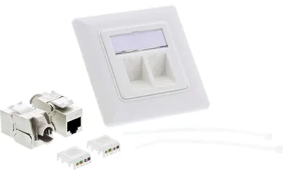 Image de InLine® 76832A Boîtier de raccordement Cat.6A, encastré, 2x RJ45 prise femelle, blanc RAL9010