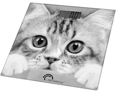 Obrázek produktu pro Little Balance The Cat, Elektronická osobní váha, 180 kg, 100 g, Šedá, kg, Čtverec