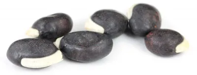 Produktbild von Helmbohne (Lablab purpureus) Pflanzensamen - Kletterpflanze, Zier- & Nutzpflanze, 10 Samen