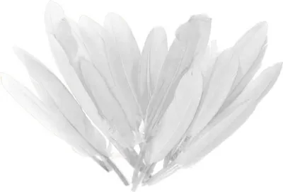 20 Entenfedern , 9-14 cm , weiß