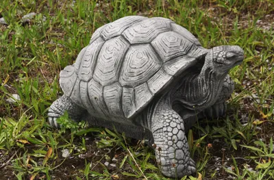 Produktbild von Horn Steinfigur Schildkröte Steinguss, frost- & witterungsbeständig, Neu, H: 25cm, B: 33cm, T: 45cm, 30 kg, DE-377