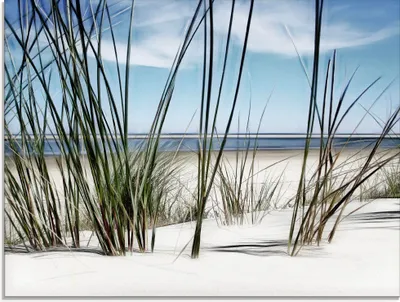 Produktbild von ARTland Glasbild Düne Größe: 80x60 cm