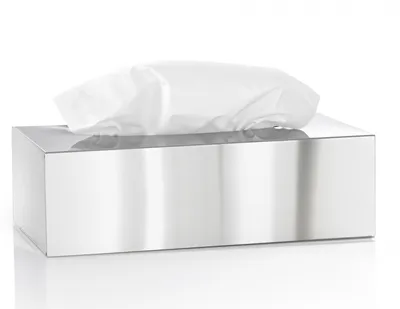 Immagine prodotto di Kleenexbox Nexio, acciaio inox lucido (66660) di Blomus