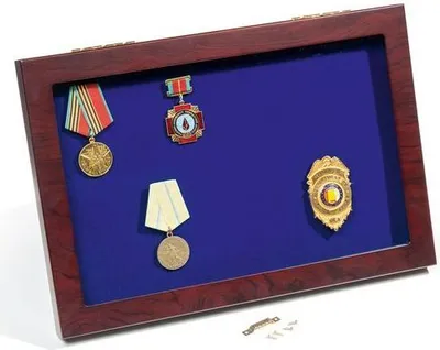 Produktbild von Vitrine MILITARIA mit Glasdeckel und Aufstellfunktion