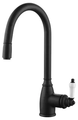Image de Ascott mitigeur évier à douchette extractible noir Essebagno