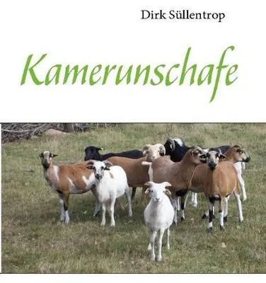 Produktbild von Kamerunschafe