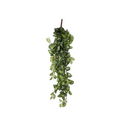 Produktbild von Mica künstliche Fittonia hängend grün 80 x 30 x 15 cm