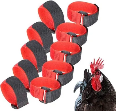 Obrázek produktu pro Tiché obojky pro slepice, nylonové, 5 kusů