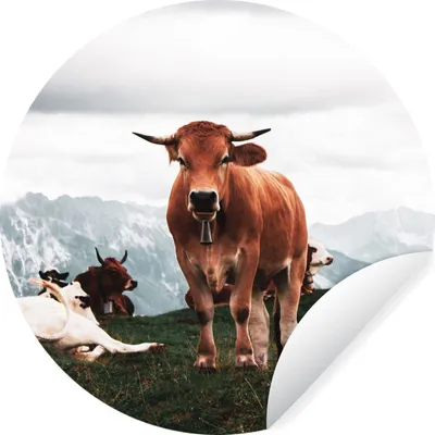 Produktbild von MuchoWow® Runde Wandtattoo - Wandsticker Tapete Aufkleber Tiere - Kuh - Berg Ø 50 cm Selbstklebend und Repositionierbar - Wandaufkleber - Kreis - Wand Kreis - Wand Bild - Foto Tapete - Selbstklebende - Wohnzimmerdekoration - Wand Dekoration - Kinderzimmer