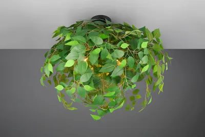 Productafbeelding van Bladeren plafondlamp Leavy Ø 70cm