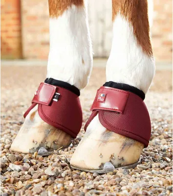 Image de Premier Equine Ballistic No Turn Bottes Rouge S Rouge S