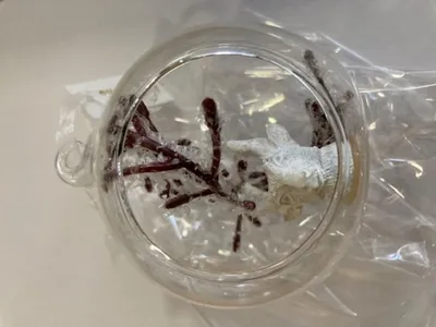 Produktbild von Deko-Kugel Glaskugel 8cm mit Öffnung  -Weihnachtskugel zum Anhängen