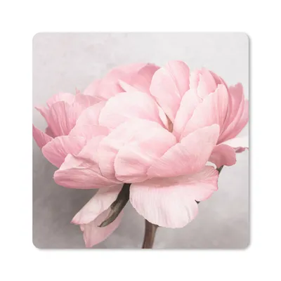 Produktbild von MuchoWow® Mauspad Mousepad Blumen - Rosa - Natur - Pflanze 30x30 cm - Mousepads - Maus Mat - Pad - Mausunterlage - Gaming