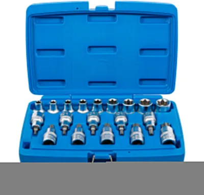 Produktbild von BGS 5100 Bit-Einsatz / Steckschlüssel Set E-Profil / T-Profil, 12,5 (1/2), 19-tlg.