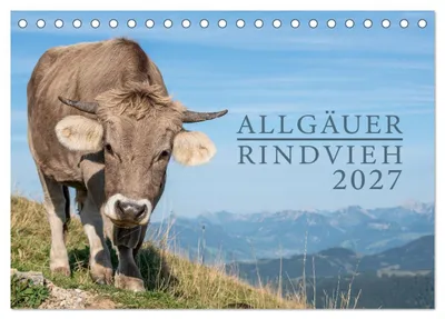 Produktbild von Allgäuer Rindvieh 2027 (Tischkalender 2027 DIN A5 quer), CALVENDO Monatskalender