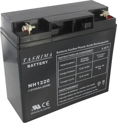 Immagine prodotto di Batteria gel/agm sigillata al 100% per tosaerba da 12 V, 20 A