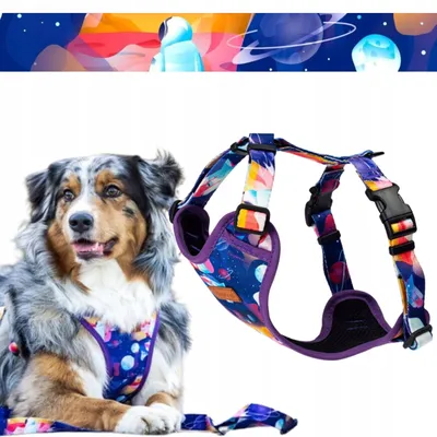 Produktbild von Ukory Verstellbare XXS Hundegeschirr für Welpen & kleine Hunde