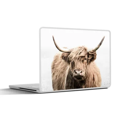 Produktbild von MuchoWow® Laptop Aufkleber Sticker Cover Schottischer Highlander - Tiere - Fell 30x22 cm - Laptop-Sticker