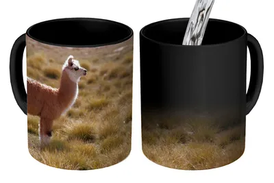 Obrázok produktu pre KitchenYeah® Magický hrnček Magický hrnček Magická alpaka - Hnedý - Príroda 350 ml Hrnček na zmenu farby Nápad na darček - Magický hrnček - Foto hrnček - Keramické hrnčeky - Obrázky - Šálka na kávu - Nápojový hrnček - K