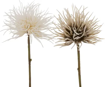 Produktbild von Boltze Gruppe Dekozweig Blumen & Blüten 25cm sort. (1 Stück)