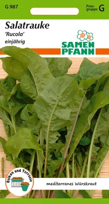 Artikelbild 1 von 'Salatrauke Rucola' aus der Kategorie Rucola- / Raukesamen