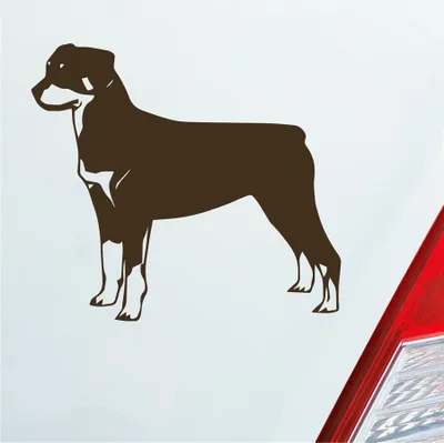 Produktbild von Auto Aufkleber Rottweiler Tier Hund Dog Animal 11x10 cm Braun Sticker Heckscheibenaufkleber