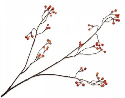 Produktbild von Silk-ka Kunstblume-Seidenblume-Künstlicher Zweig Beerenzweig Orange 94 cm