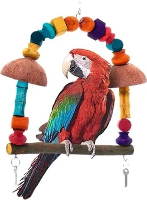 Produktbild von Karlie Papegei Schaukel - Vogelspielzeug - Holz - Mehrfarbig - 36x41x39 cm