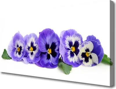 Produktbild von Tulup Leinwand-Bilder 100x50 Wandbild Canvas Kunstdruck Blumen Blätter Pflanzen
