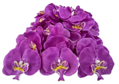 Produktbild von 50 künstliche Orchideenblütenblätter zur Dekoration