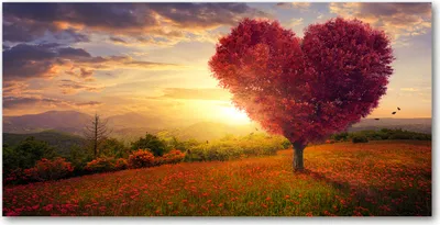 Produktbild von Tulup® Leinwandbild -100x50 cm - Wandkunst - Drucke auf Leinwand - Leinwanddruck  - Landschaften - Rot - Baum Feld Herz