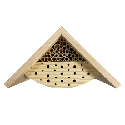 Imagen del producto de Esschert Design KG250, 240 mm, 134 mm, 131 mm, 1 unidad