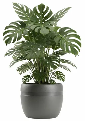 Produktbild von HowHomely | Pflanzentopf - Blumentopf - B46xH38 cm - grau - Übertopf - Blumenkübel - Pflegeleicht