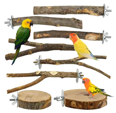 Produktbild von Vogelspielzeug 8 Stück Naturholz Sitzstangen Vogelständer Käfig Zubehör für Wellensittich Nymphensittich Kanarienvogel