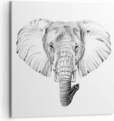 Produktbild von Bild auf Leinwand - Leinwandbild - Elefant Afrika Illustration Kinder - 60x60cm - Wand Bild - Wanddeko - Leinwanddruck - Bilder - Kunstdruck - Leinwand bilder - Wandkunst - AC60x60-3213