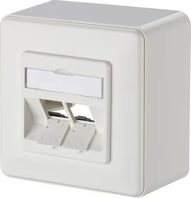 A white, square, wall-mounted network data socket with two ports.