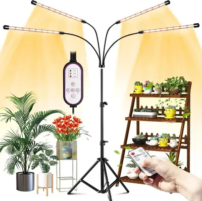 Produktbild von Pflanzenlampe Mit Ständer Fernbedienung Led Vollspektrum Zimmerpflanzen Sonnenlicht Grow Lampe Pflanzenlicht (Timer, 3 Modi, 10-Level-Helligkeit)