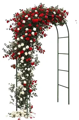 Productafbeelding van Tuinboog, zwaarstalen constructie, geschikt voor klimplanten, zwart