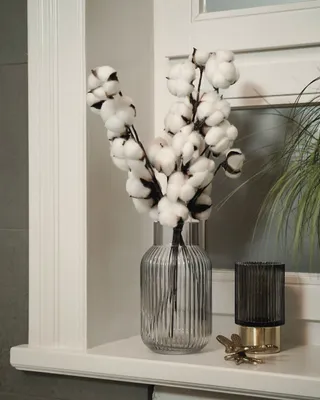 Produktbild von Trockenblume Echter Baumwollzweig, Farbe weiß, 1 Stiel, 10 Köpfe, 53 cm Länge, Baumwolle Zweig, Trockenblumen, Pampasgras Deko Baumwollzweig