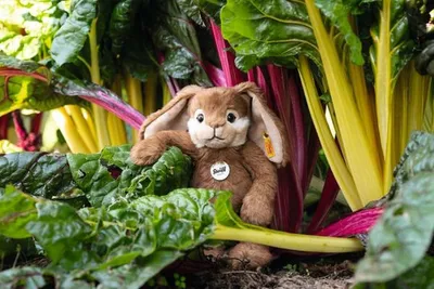 Produktbild von Steiff Hase Bommel 28 cm braun Kuscheltier 067471