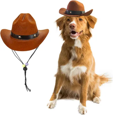 Produktbild von Hundekostüm – Verstellbar