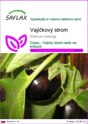 Obrázok produktu pre SAFLAX - vajíčkový strom - Solanum melonga - 20 Semená